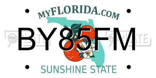 BY85FM Florida License Plate