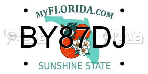 BY87DJ Florida License Plate