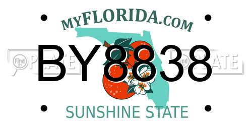 BY8838 Florida License Plate