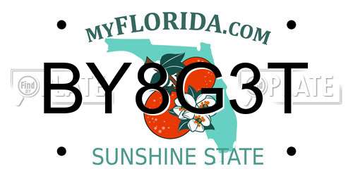 BY8G3T Florida License Plate