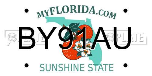 BY91AU Florida License Plate