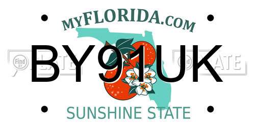 BY91UK Florida License Plate