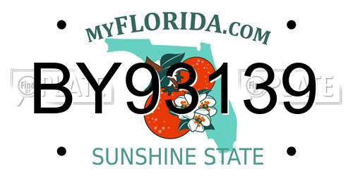 BY93139 Florida License Plate