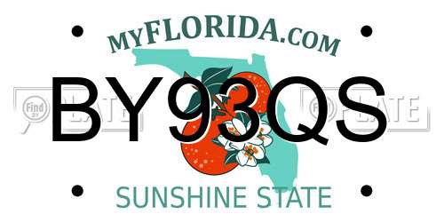 BY93QS Florida License Plate