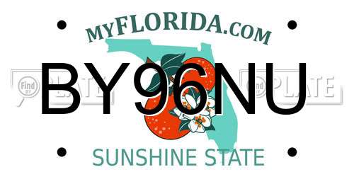 BY96NU Florida License Plate