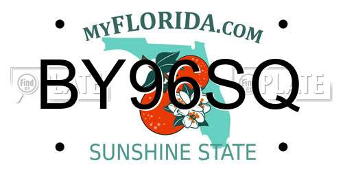 BY96SQ Florida License Plate