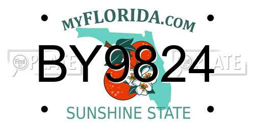 BY9824 Florida License Plate