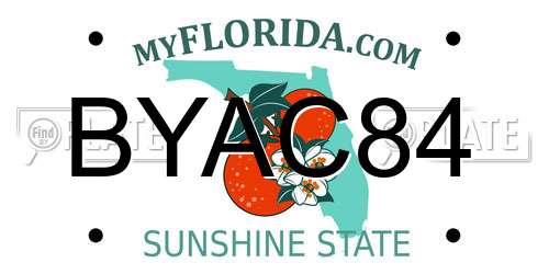 BYAC84 Florida License Plate