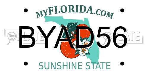 BYAD56 Florida License Plate