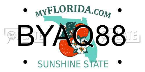 BYAQ88 Florida License Plate