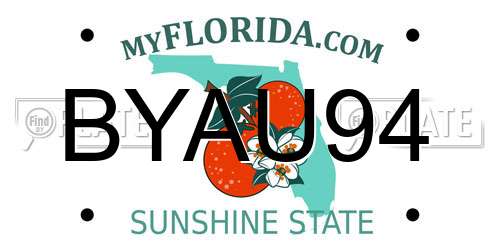 BYAU94 Florida License Plate