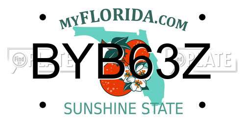 BYB63Z Florida License Plate