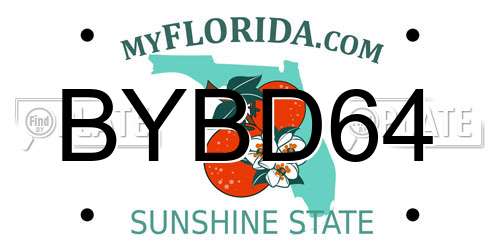 BYBD64 Florida License Plate