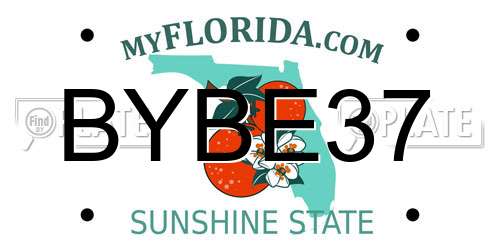 BYBE37 Florida License Plate