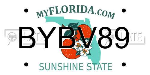 BYBV89 Florida License Plate