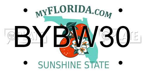 BYBW30 Florida License Plate