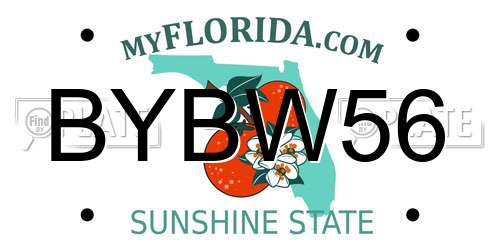 BYBW56 Florida License Plate