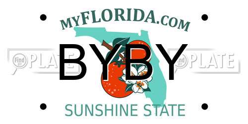 BYBY Florida License Plate