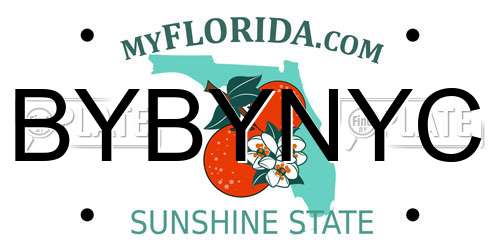 BYBYNYC Florida License Plate