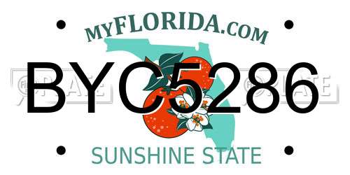 BYC5286 Florida License Plate