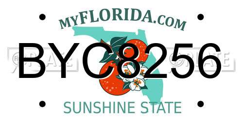 BYC8256 Florida License Plate