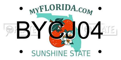 BYCJ04 Florida License Plate