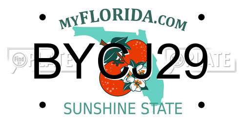 BYCJ29 Florida License Plate
