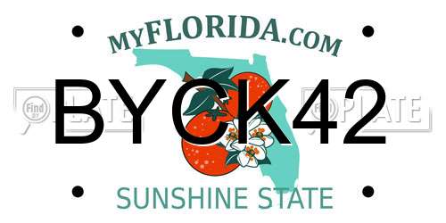 BYCK42 Florida License Plate
