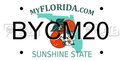 BYCM20 Florida License Plate