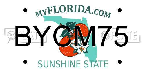 BYCM75 Florida License Plate