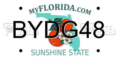 BYDG48 Florida License Plate