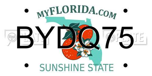 BYDQ75 Florida License Plate