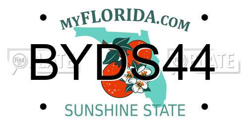 BYDS44 Florida License Plate