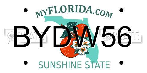 BYDW56 Florida License Plate