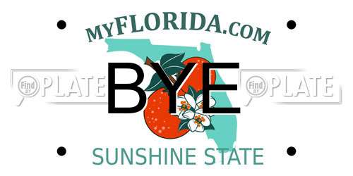 BYE Florida License Plate