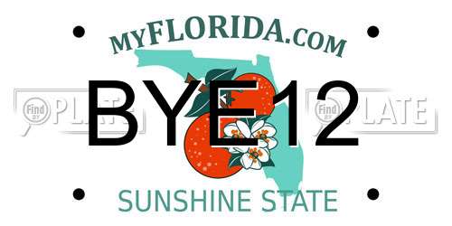 BYE12 Florida License Plate