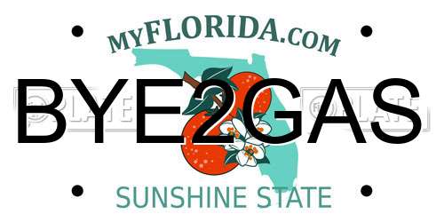BYE2GAS Florida License Plate