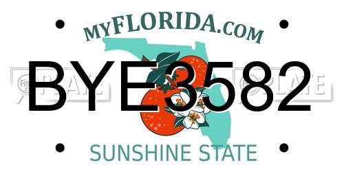 BYE3582 Florida License Plate