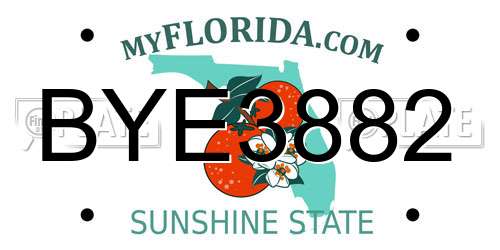 BYE3882 Florida License Plate