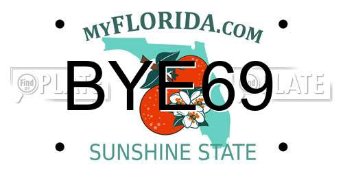 BYE69 Florida License Plate