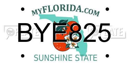 BYE825 Florida License Plate