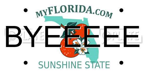 BYEEEEE Florida License Plate