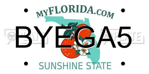 BYEGA5 Florida License Plate