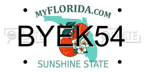 BYEK54 Florida License Plate