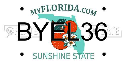 BYEL36 Florida License Plate