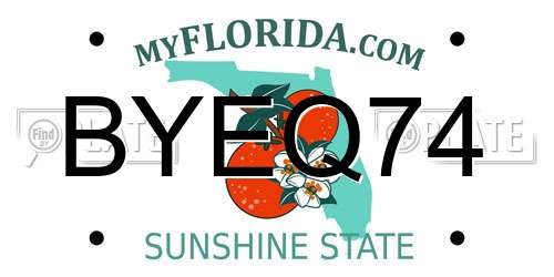 BYEQ74 Florida License Plate