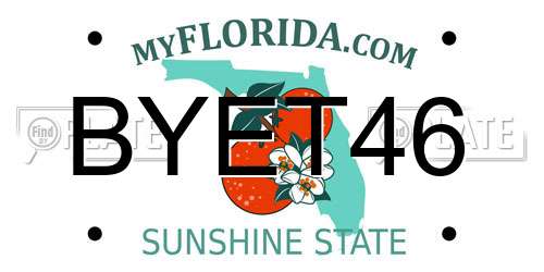 BYET46 Florida License Plate
