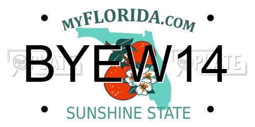 BYEW14 Florida License Plate