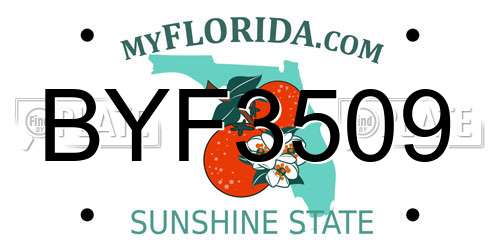 BYF3509 Florida License Plate