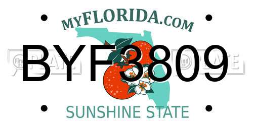 BYF3809 Florida License Plate